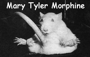 Mary Tyler Morphine